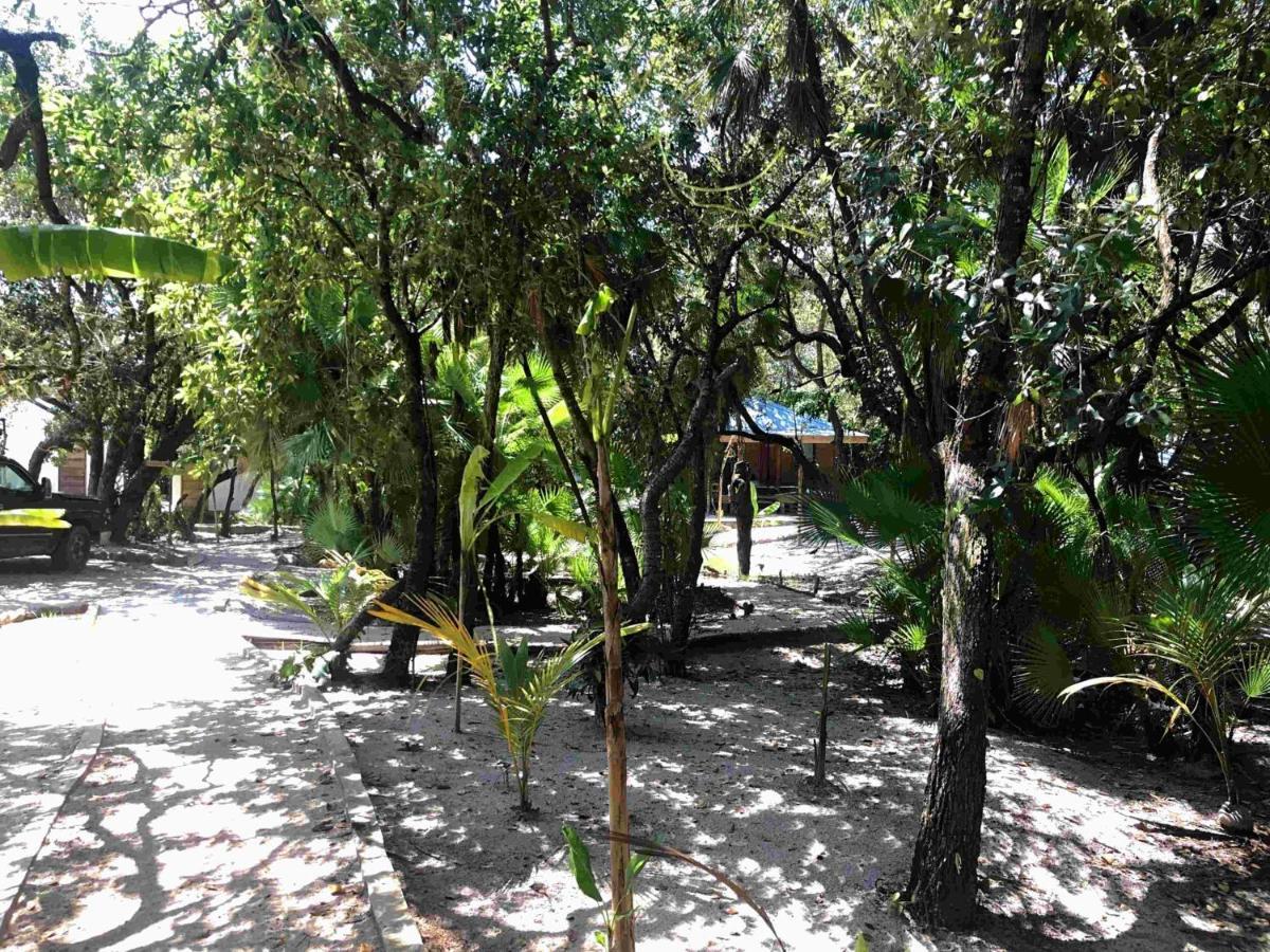 Kin Resort Lodge Maya Beach Exterior foto